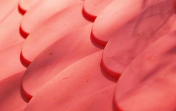 Rathkenny plastic roof costs