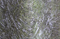 Rathkenny fibreglass roof work